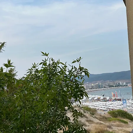 оазис вип клуб апарт * 阳光海滩